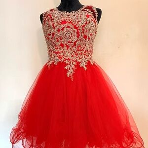 Red and Gold Embroidered Mini Dress